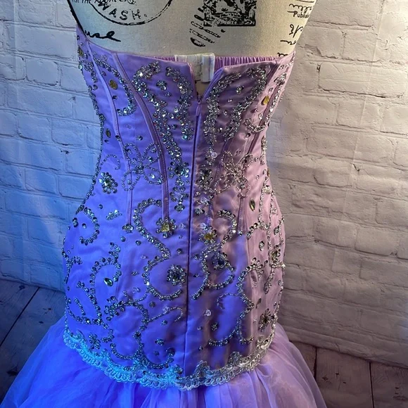💜 Prom/Formal Gown - Picture 5 of 17